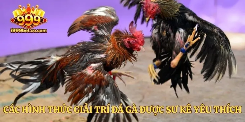 Các hình thức giải trí đá gà được sư kê yêu thích