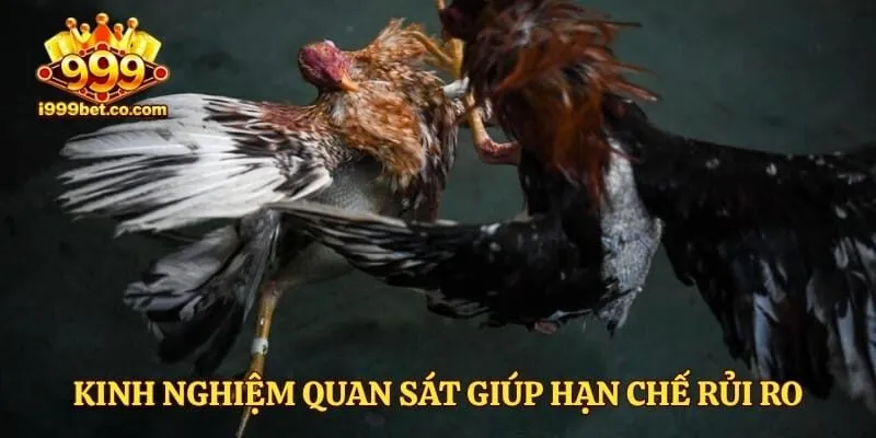 Kinh nghiệm quan sát giúp hạn chế rủi ro khi theo dõi