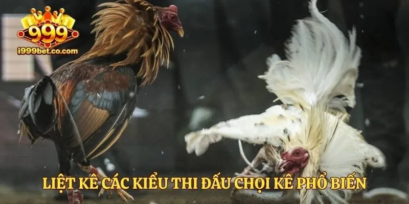 Liệt kê các kiểu thi đấu chọi kê phổ biến