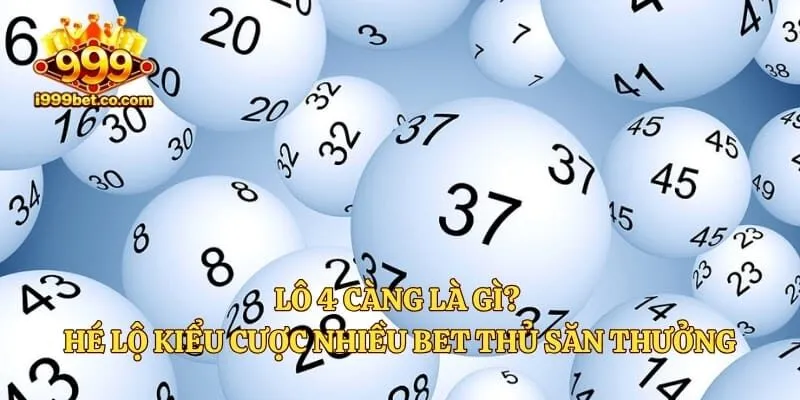 Lô 4 Càng Là Gì? Hé Lộ Kiểu Cược Nhiều Bet Thủ Săn Thưởng